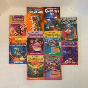 Goose Bumps Book Lot of 10 R.L.Stein Scholastic 1993 to 1996 One Book 2013